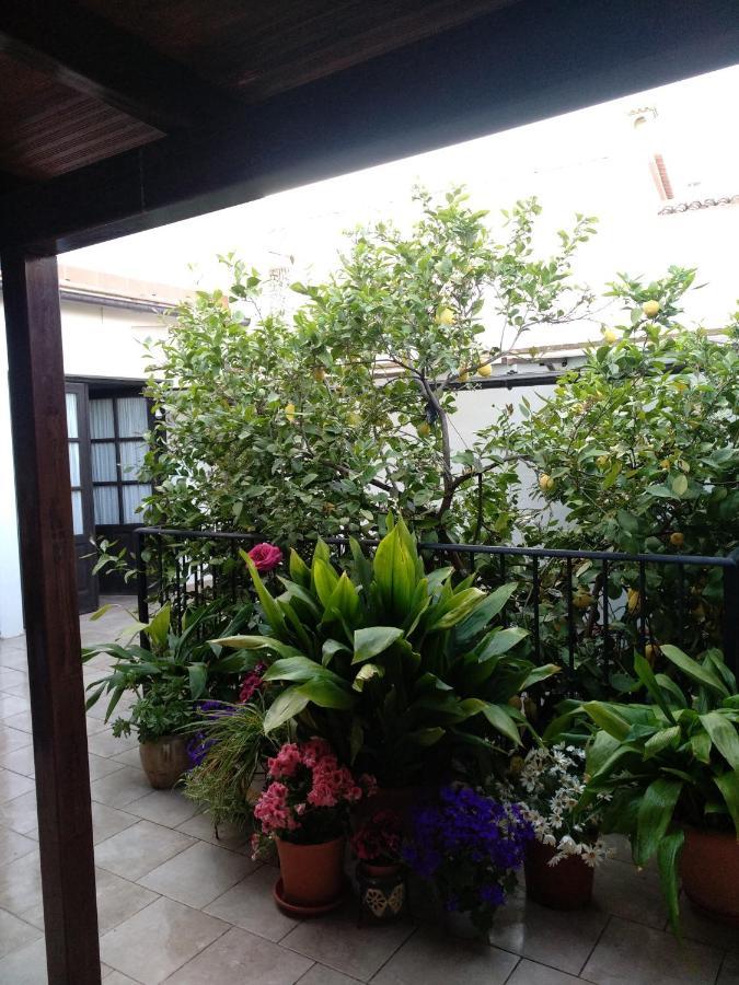 El Patio Andalu Bed and Breakfast Ardales Exteriör bild